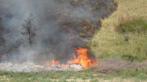 Incendio