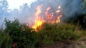Incendio
