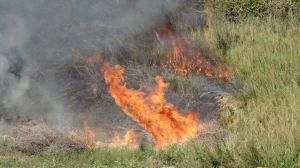 Incendio