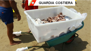 Pesce sequestrato