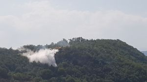 Incendio carpineto sinello