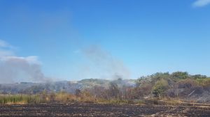 Incendio