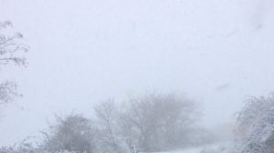 Neve gissi