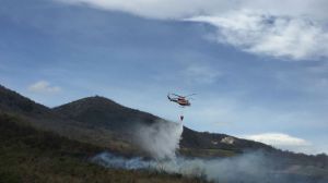 Incendio dogliola