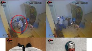 Arresti liscia santuario