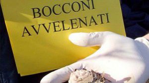 Bocconi avvelenati