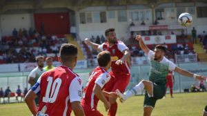Vastese calcio