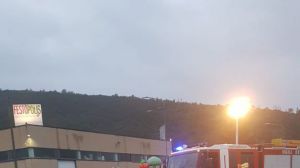 Incidente trignina
