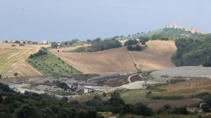 Civeta