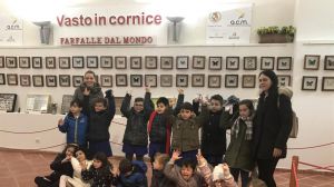Farfalle nel mondo