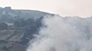 Incendio civeta