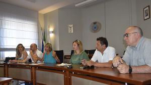 Sindaci civeta
