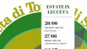 Lecceta