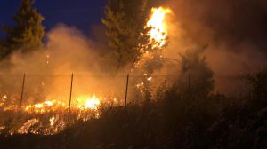 Incendio San salvo