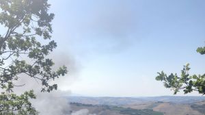 Incendio civeta