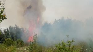 Incendio