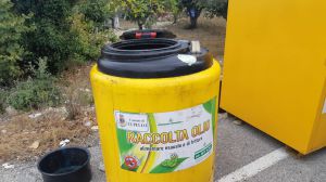 Contenitore olio