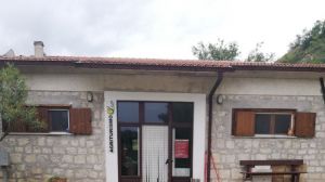 Fattoria degli ulivi