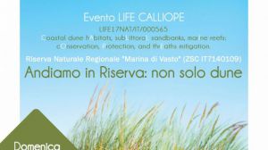 Calliope