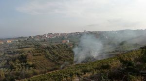 Incendio