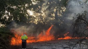 Incendio