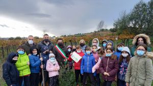 Festa dell’albero