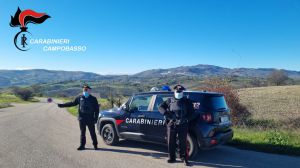 Carabinieri palata