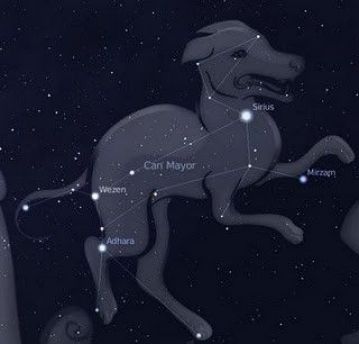 Canis major