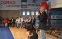 Basket 28