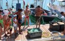 Pesca nell'adriatico...gusto e tradizione