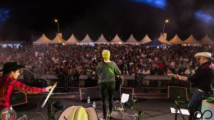 Summer Vintage Rock festival