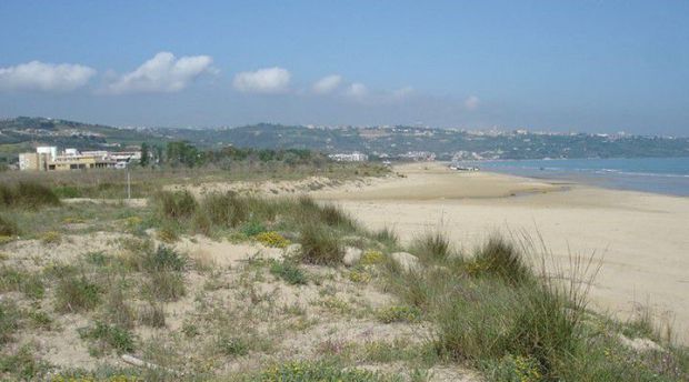 Dune