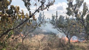 Incendio
