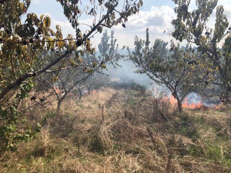 Incendio