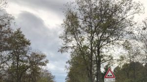 Strada provinciale trignina 'sopraelevata' san salvo
