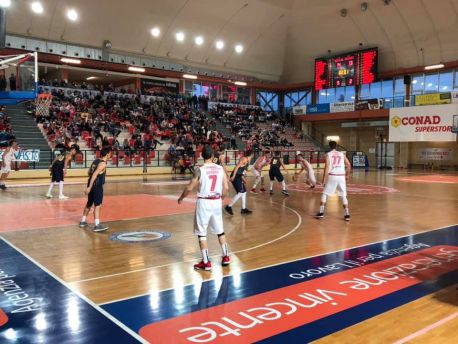 Vasto basket