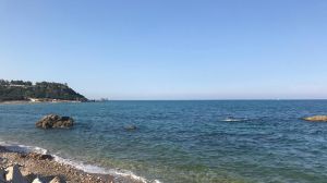 Mare vignola