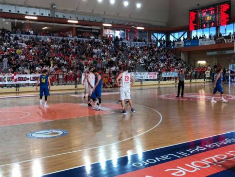 Vasto basket