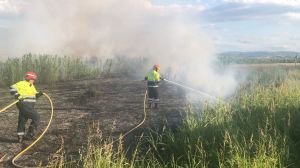 Incendio