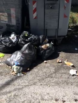 Rifiuti