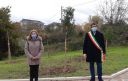Cianci e menna
