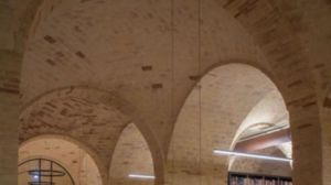Polo bibliotecario