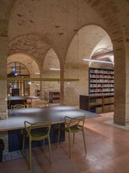 Polo bibliotecario