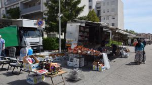 Mercato fiera san salvo