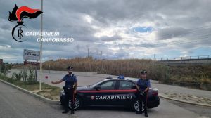 Carabinieri termoli