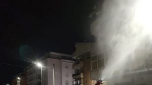 Disinfestazione