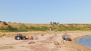 Pulizia spiaggia