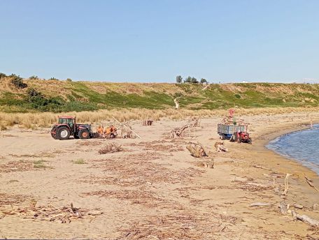 Pulizia spiaggia