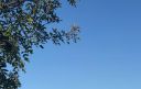 Canadair