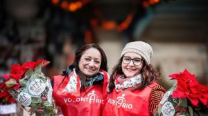 Ail stella di natale